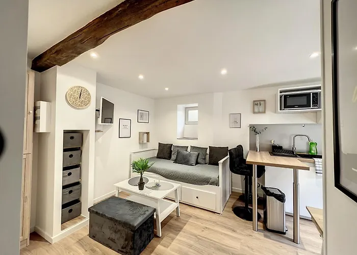 Les Bords Du Clain - Entree Autonome * Poitiers