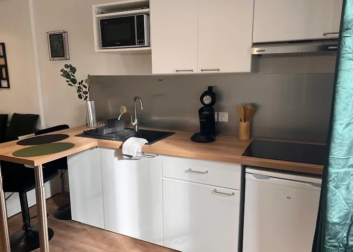 Les Bords Du Clain - Entree Autonome Poitiers